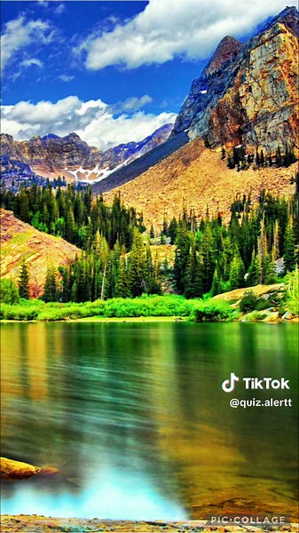 Junk Food Quiz #quiz #quizchallenge #junkfood #fitness #mealprep #fyp