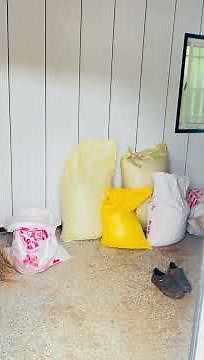 👋假日天氣暖和一點蚊子🦟又變多了🪺🐔🪿🦟🐀🧹#日常生活 #台灣生活