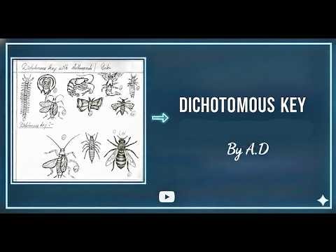Dichotomous Key for Arthropods | BSc Zoology Practical Guide I Echoflowia Educational