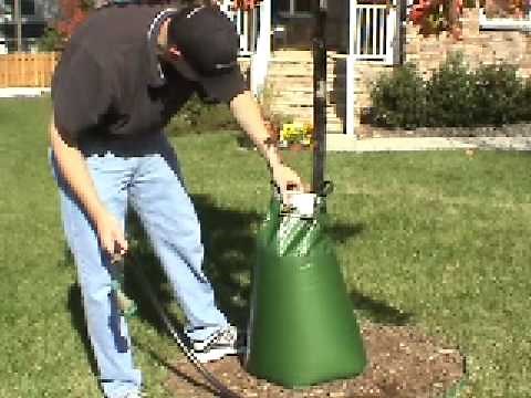 Treegator Original Slow Release Watering Bag for Trees