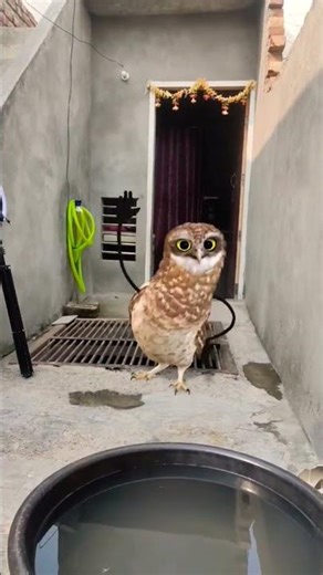 I Spent 24 Hours In A Bunker Built By The Kardashians