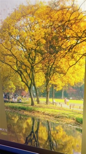 user4361419370845 (@tsu84883)’s videos with original sound - user4361419370845