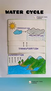 Water cycle | water cycle model #watercycle #water #savewater #kids #diy #art #drawings #shorts #shortreel #viralvideofb | Pirjada Arif l TLM & creativity