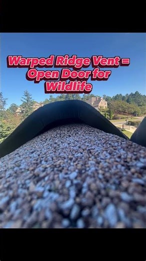 Ridge Vents: The Hidden Wildlife Entry Point & How Ridge Guard® Fixes It