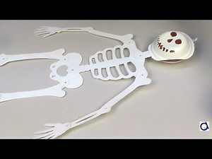 DIY Cardboard skeleton repair