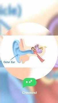 Parts of the Ear | How We Hear | Easy Learning for Kids #kidslearning