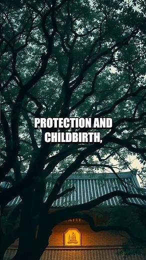 The Ashoka Tree: The Sacred Bloom that Nurtures Forest and Culture