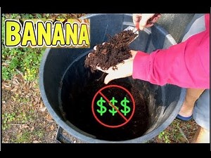 FREE Banana Plant Fertilizer: How to Make Organic Compost & Mulch