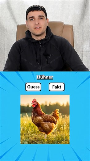 Wie Viele Tiere Essen Menschen im Jahr? #shorts