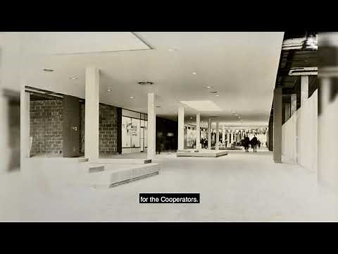 Get to know Rochdale Village in Jamaica, Queens New York