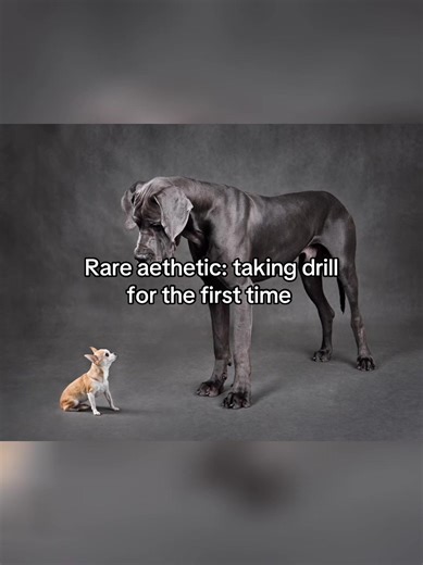 Facing the Challenge: First Time Drill in Air Cadets