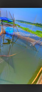 1.2M views · 15K reactions | A school of cutthroat trout has fallen | Fast Review | Facebook