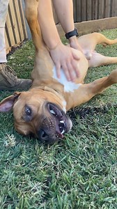 2.6K views · 137 reactions | Are you in search of an adventurous and...