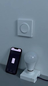 Orb-ZBW1 Zigbee Smart Switch — Direct Control Without WiFi