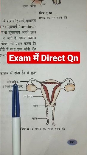 #Female reproductive system#मादा जनन तंत्र