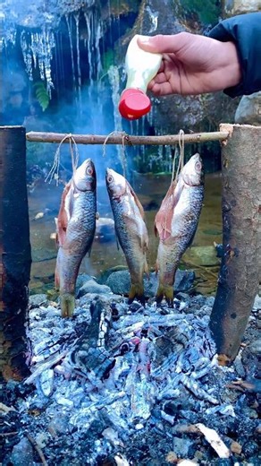 I Caught These Fish and Cooked Them Over an Open Fire #campfirecooking #overthefirecooking #gasgrill