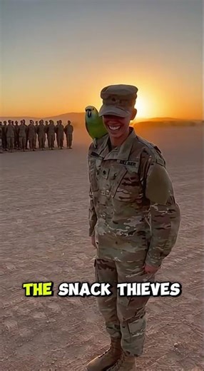 Parrot Takes Over Army Training… Soldiers LOSE IT 😂🦜💂‍♀️