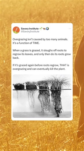 669K views · 1.8K reactions | What’s worse, 1 cow left in a pasture...