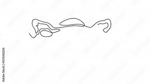 Animated self drawing of continuous line draw woman uterus. Ovary and womb reproductive system in simple linear style for gynecology medical clinic. Full length one line animation. 4K