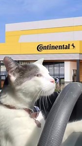 3.3K views · 71 reactions | POV: you're driving home with the new set of Continental tires you bought during our November promo.  https://bit.ly/3tSdLbC | Continental Tire | Facebook