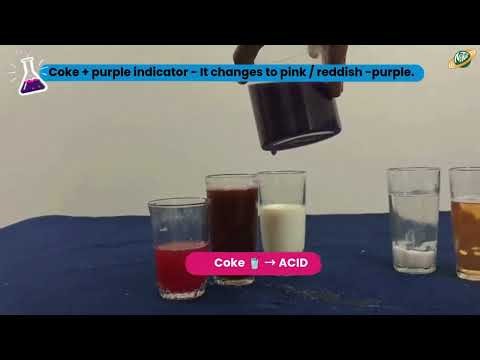 Live KS3 Science Experiment: Test Acids and Alkalis with Red Cabbage Indicator !