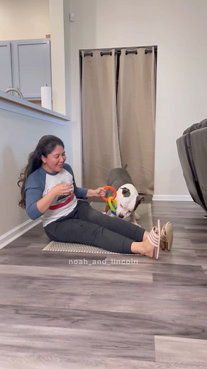 Unfair advantage? 😂 Should we swap dogs? | Noah and Lincoln