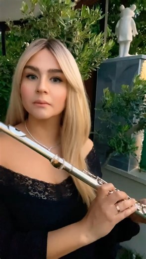 Gladiator - Now We Are Free ( Beautiful flute sound ) ❤️🎶 | Amazing Music