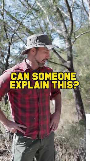 213K views · 2.4K reactions | We’re gonna need someone to explain this one to us  #car #cars #cartok #carsoftiktok #mcm #offroad #adventure #travel #outback #bush #trail #mudding #mitsubishi #delica #mightycarmods | Mighty Car Mods | Facebook