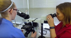 5K views · 34 reactions | Hear from lab professionals about why they love their jobs making medicine better in the BJC HealthCare labs. | BJC HealthCare | Facebook