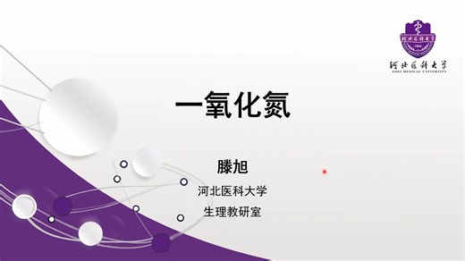 心血管活动的体液调节：一氧化氮 NO