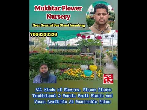 SPONSORED Mukhtar Flower Nursery Near General Bus Stand Anantnag