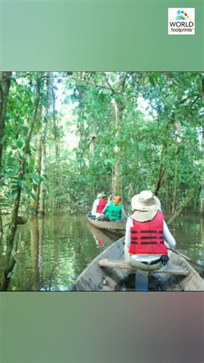Into the Green | Canoe Journey Through the Colombian Amazon