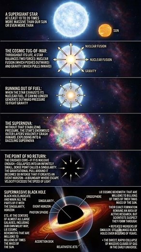 HOW BLACK HOLES ARE BORN: The Epic Life Cycle of a Supergiant Star (Explained