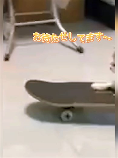 猫のおもしろ動画のアフレコ