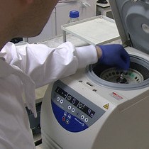 Video: Evaluating Vascular Hyperpermeability-inducing Agents in the Skin with the Miles Assay