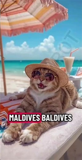 Life story. All credits for creator. #offgrid #funny #vacation