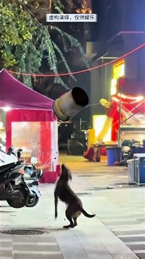 A bucket causes trouble and becomes a hot topic. Funny video of a bucket causing trouble makes r