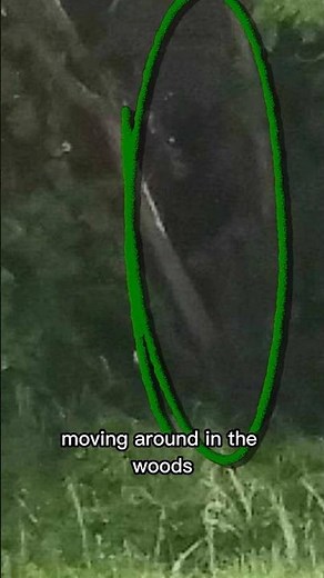 Man captures Massive Cryptid.. #sirenhead #alien