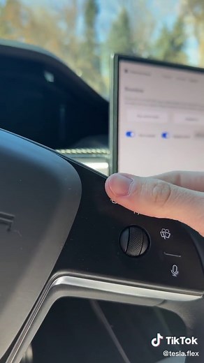 Changing My Tesla’s Horn