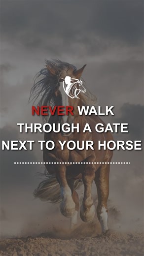 Smith Horsemanship on Instagram: "⚠️ Never Walk Through a Tight Gate Beside Your Horse 🐴 Walking through a narrow gate with your horse right next to you might seem normal… but it’s one of the easiest ways to get seriously hurt. Here’s why it’s dangerous: ✅ If your horse spooks, bites, or rushes, you’re trapped against steel ✅ Broken ribs, smashed legs, or worse can happen in seconds ✅ You have no room to move or protect yourself Here’s the safer way instead: ✅ Send your horse through the gate f