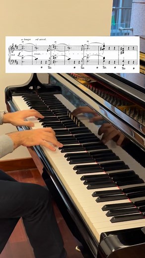 60K views · 3.5K reactions | Crazy • • • • • • #chopin #classicalmusic #scherzo #music #piano #pianist #orchestra #classical #artist #pianoplayer #art #dark #instrumental #scores #solo #pianosolo #pianomusic #pianopractice #reel | Davit Khrikuli | Facebook