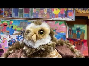 Hoots the Owl Sings It Takes a Street