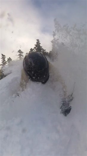 Telemark lil bag of tricks