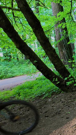 How to Backpedal to Roll a Mountain Bike Backwards (Day 12)