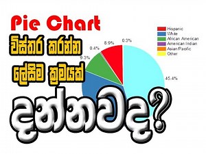 Pie Chart Description - easy way