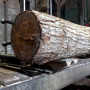 117K views · 1.1K reactions | amazing sawmill process | Sawmill & Woodworking | Facebook