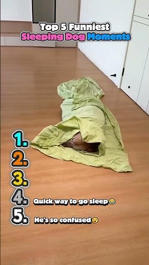 Top 5 Funniest Sleeping Dog Moments#funnyanimals