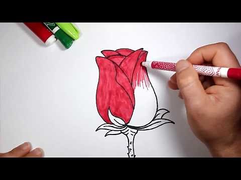 #رسم وردة بالخطوات للمبتدئين | كيف ترسم وردة | تعلم الرسم | Drawing a flower 🌹