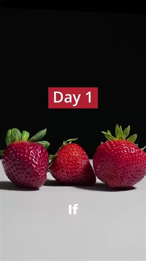 Decaying Strawberries: A Time-Lapse Experiment