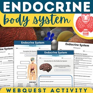 Endocrine System Webquest Human Body Systems Activity Hormones Glands Health